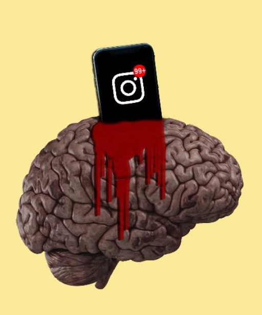 Read more about the article Die Macht der visuellen Inhalte: Wie Bilder dein Social-Media-Marketing zum Erfolg führen
